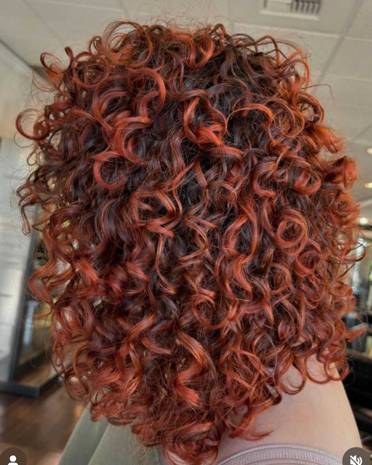Close-up of vibrant curly hair with red highlights, showcased in a well-lit room.